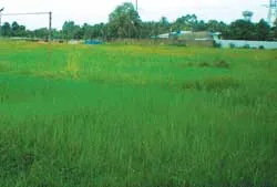 Chương trình 24 của TPHCM: Công ty N.V.T. xin rút ảnh 2