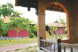 Resort Đen Giòn