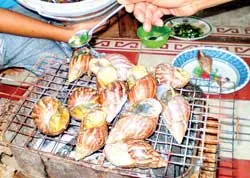 Thanh thoát “MỘC Café” ảnh 3