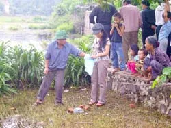 Nghệ An: Sâu “tấn công” vào nhà dân