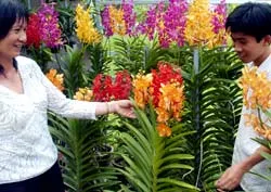 Khai mạc Lễ hội Sinh vật cảnh lần 2