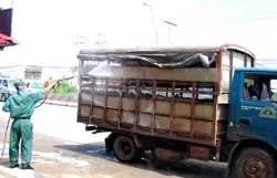 Nguy cơ luôn đe dọa