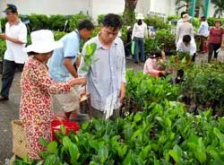 Kết thúc Hội chợ Thương mại quốc tế Cần Thơ Công nghệ thông tin chiếm ưu thế