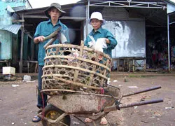 Quét chợ… thi đỗ đại học