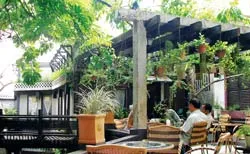 Tĩnh lặng Cafe TRẦM