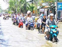 TP HCM: Triều cường ngày càng cao, đê bao ngày càng yếu