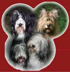 Chuyện lạ kinh doanh