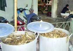 Hà Nội: Phát hiện “lò” nấu cao hổ lớn nhất từ trước đến nay ảnh 2