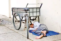 Bạ đâu ngủ đó!