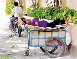 Bạ đâu ngủ đó! ảnh 3