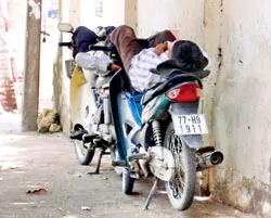 Bạ đâu ngủ đó! ảnh 5