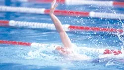 “Trưởng lão” đi học ảnh 1