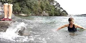 Thằn lằn độc giúp chống tiểu đường ảnh 3