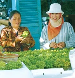 Nho “đỏng đảnh”, người lao đao ảnh 2