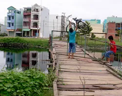 Không chứng sao y bản trích lục địa bộ? ảnh 2