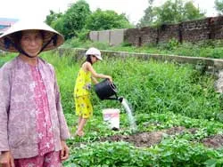 Đà Nẵng lo lắng về “tồn lưu” chất độc dioxin ảnh 2