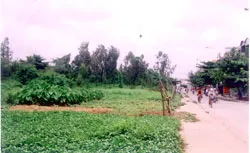 8 năm, dự án công viên vẫn nằm trên giấy