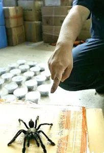 “Thưởng hiện vật” ảnh 3