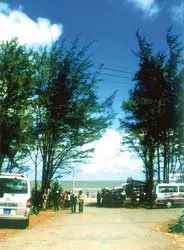 “Thị xã công viên” ảnh 3