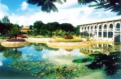 15 năm văn nghệ Trà Vinh