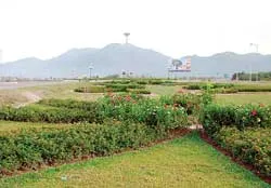 Khánh Hòa: Thiết kế đường hoa 10km tại đại lộ Nguyễn Tất Thành