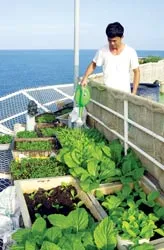 Nơi hiếm nước ngọt hơn cả Trường Sa