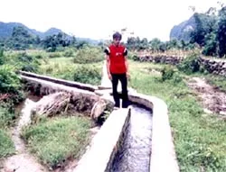 Giải khát cho… cao nguyên đá