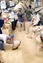 Gạo xuất khẩu của Việt Nam ngày càng có giá