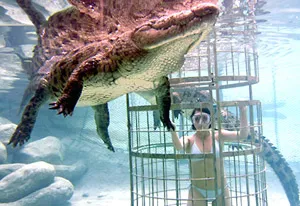 TV siêu mỏng 1,8cm ảnh 4