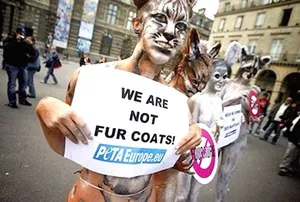 TV siêu mỏng 1,8cm ảnh 2