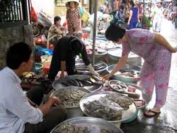 Dân lại khốn khổ vì giá cả tăng cao