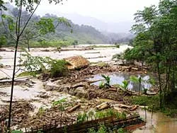 Nậm Giải, Nghệ An: Đêm kinh hoàng