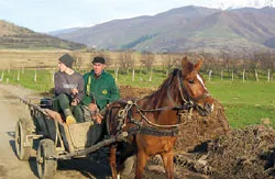 Nông nghiệp hậu EU