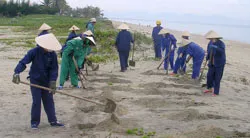 Sáng nay, ở Hội An: Trồng 16.000 cây cho công viên - rừng phòng hộ ven biển