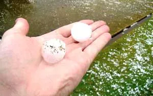 Australia: Bão tuyết bất thường