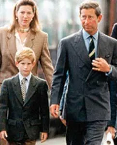 Mối nghi ngờ của Diana