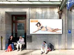 Ứng cử viên Quốc hội Thụy sĩ làm... người mẫu