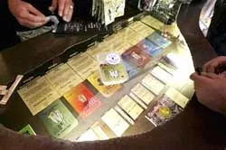 Mạnh tay với nấm gây ảo giác ảnh 2