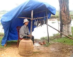 Hà Tĩnh: Chim trời bị tận diệt!