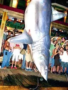 Phát hiện tranh tường cổ 11.000 năm ảnh 5