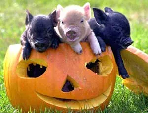 Phát hiện tranh tường cổ 11.000 năm ảnh 3