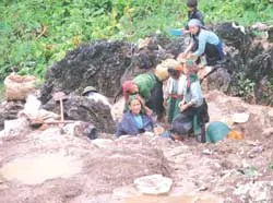 Rủ nhau đi vét wolfram