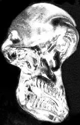 Bài 4: Bí ẩn về xương sọ pha lê ảnh 2