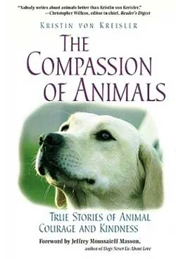 Những bí ẩn chưa có lời giải trên thế giới