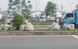 Dải phân cách thành... bãi rác