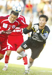 Pisico Bình Định lo mất quân ảnh 1