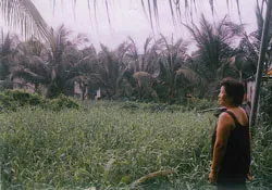 15 năm khốn khổ vì dự án “treo”