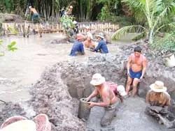 Thiệt hại tiền tỷ ảnh 2