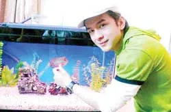 Ca sĩ Đan Trường – thích nuôi cá cảnh