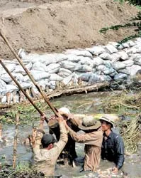 Triều cường ở TPHCM: Ngập kéo dài, thiệt hại càng lớn